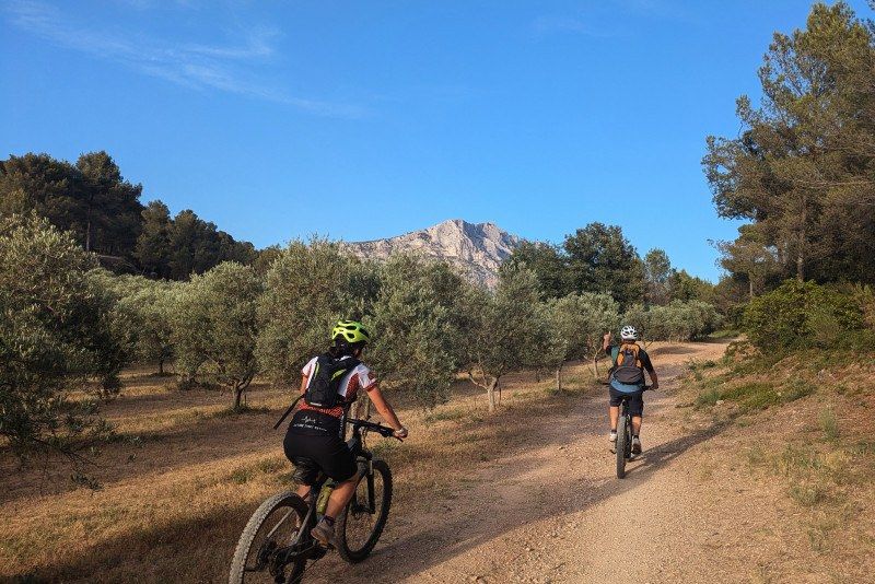 Deux cyclistes entre les oliviers face à la Sainte‑Victoire
