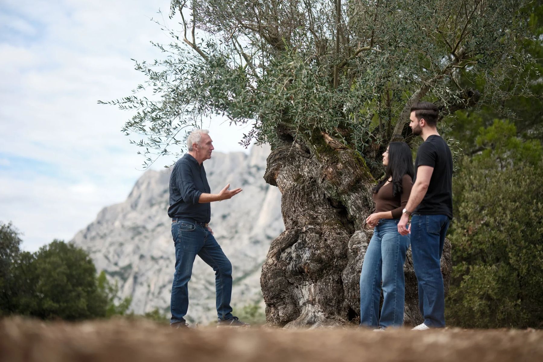 Visite de l'oliveraie Héritage Victoire face à la Sainte‑Victoire