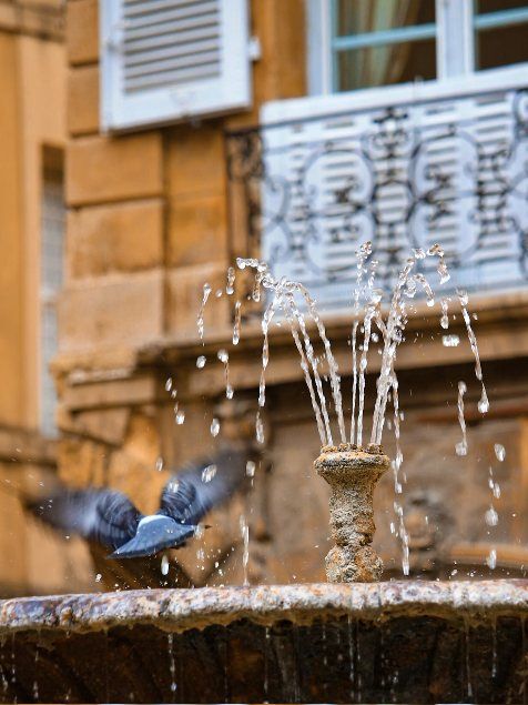 Fontaine à Aix-en-Provence