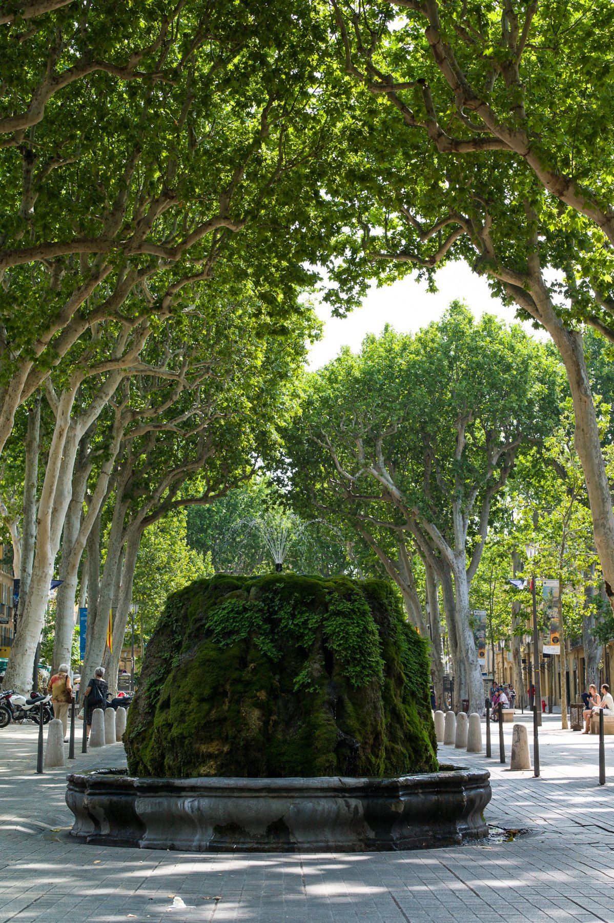 La fontaine Moussue sous les platanes du cours Mirabeau